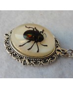 Beetle Taxidermy Necklace, Insect, Cabinet Of Curiosities, Oddities, Memento Mori