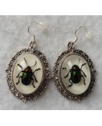 Beetles Taxidermy Earrings, Scarab, Beetle, Cabinet Of Curiosities, Memento Mori, Wedding, Macabre, Victorian, Gothic, Witch