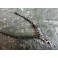 Mystic Snake Choker Stainless steel short necklace, Magic, Bohemian, boho jewelry, Rosary, Gypsy, Pagan, Witch, Tribal