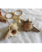 Sea Goddess Keychain, Golden Murex Shell Specimen, Cabinet of Curiosities, Mermaid, Summer, Beach, conchology, Malacology, Conch