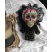 Mardi Gras Carnival Art Doll, Day of the Dead, Calavera, Skull, Skeleton, Voodoo