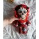 La Calaca Red Calavera Art Doll, Catrina, Day of the Dead, Skull, Skeleton, Voodoo, Santeria, Santa Muerte