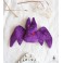 Adopt a Bat Purple Ornament Plush Gothic Doll, Art Doll, Creature, Halloween, Gothic Gift