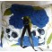 Coussin Porte Alliances Crânes & Roses Bleu Mariage Gothique, Rockabilly, Tattoo, Muertos, Tête de mort