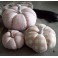 3 Citrouilles Pastel rose, Décor d'automne, Décoration d'Hiver, Potiron, Cucurbitacée, Halloween, Cendrillon