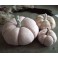 3 Citrouilles Pastel rose, Décor d'automne, Décoration d'Hiver, Potiron, Cucurbitacée, Halloween, Cendrillon